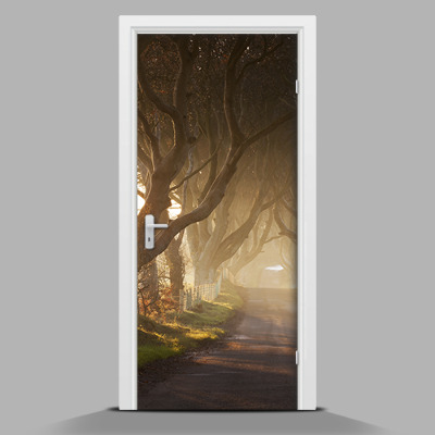 Sticker porta Alberi giganti