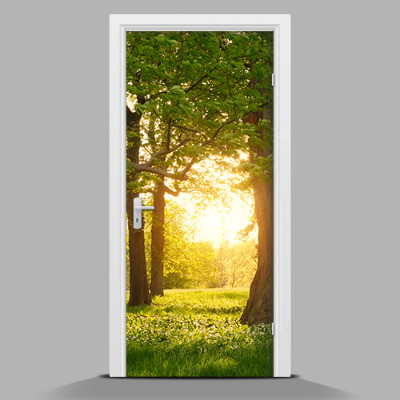 Adesivo per porta interna Il sole tra gli alberi
