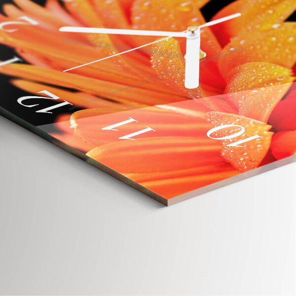 Orologio quadrato Gerbera