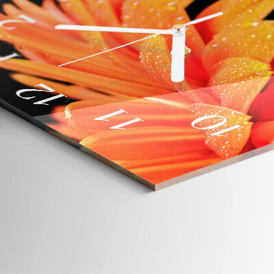 Orologio quadrato Gerbera