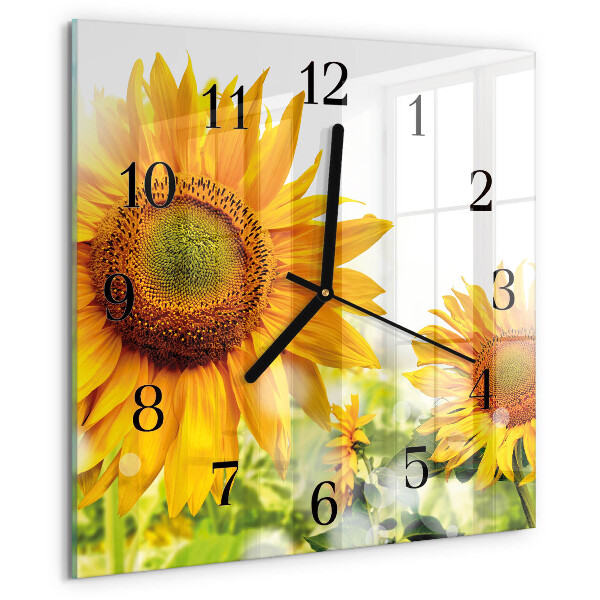Orologio quadrato Girasole