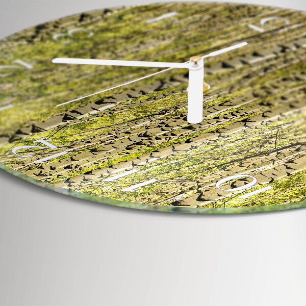Orologio rotondo Foresta di betulle