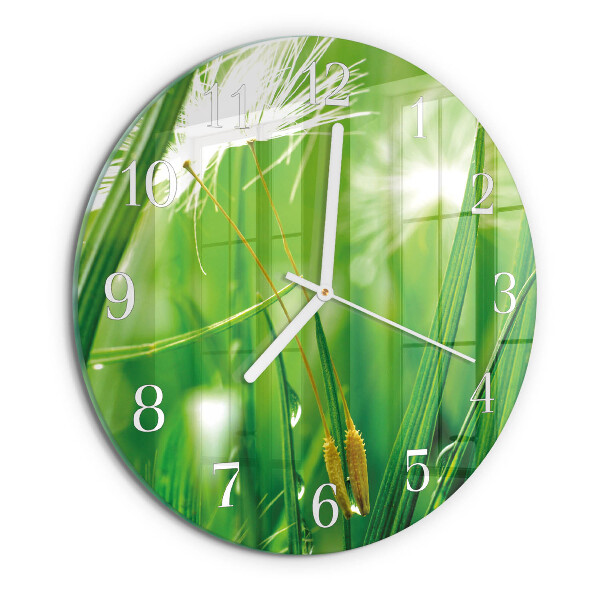 Orologio rotondo Erba