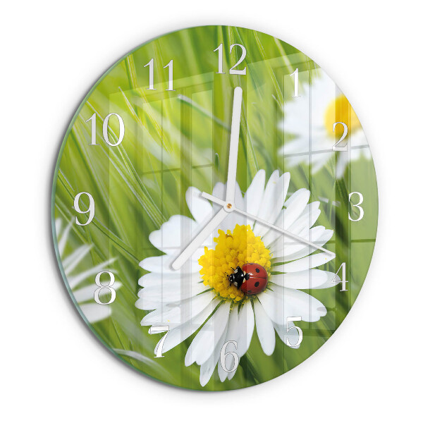 Orologio rotondo margherite
