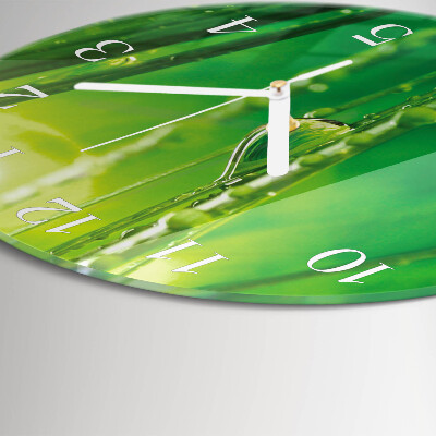 Orologio rotondo Gocce d'erba