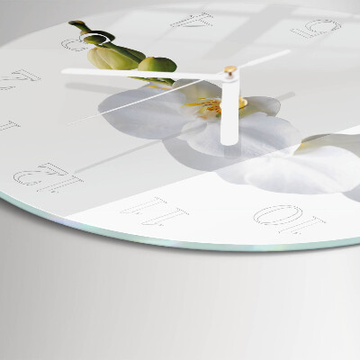 Orologio rotondo Orchidea