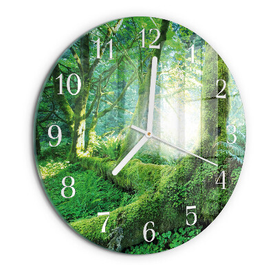 Orologio rotondo Muschio forestale