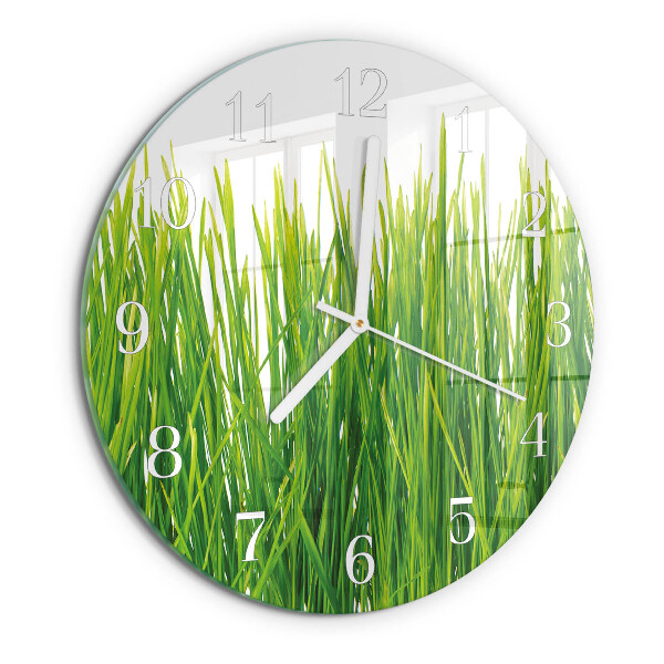 Orologio rotondo Erba
