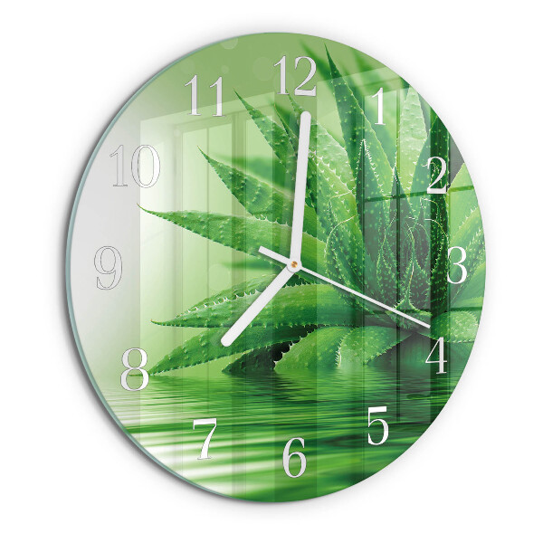 Orologio rotondo Aloe