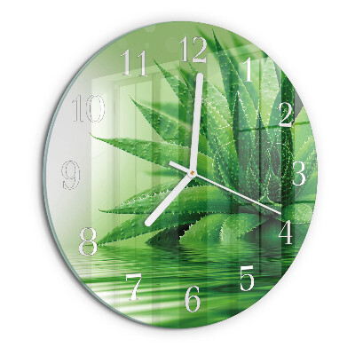 Orologio rotondo Aloe