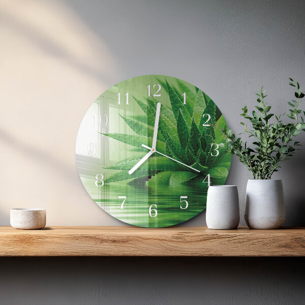 Orologio rotondo Aloe
