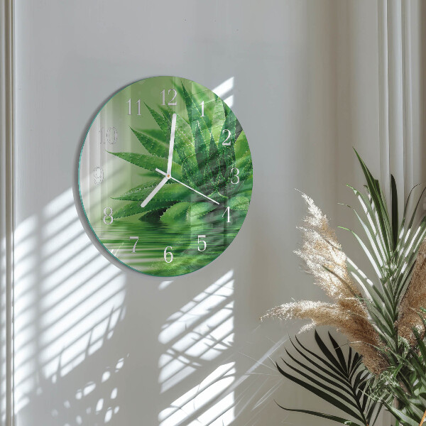 Orologio rotondo Aloe