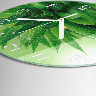 Orologio rotondo Aloe