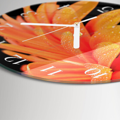 Orologio rotondo Gerbera