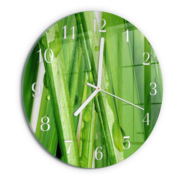 Orologio rotondo Erba