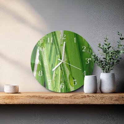 Orologio rotondo Erba