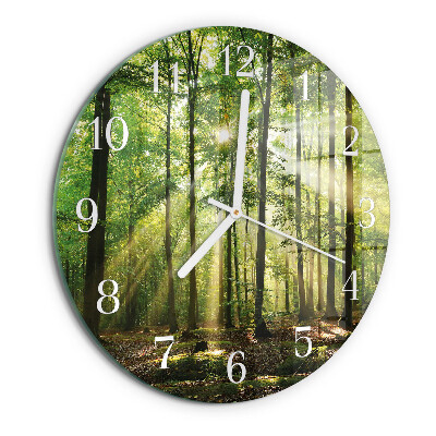 Orologio rotondo Natura della foresta