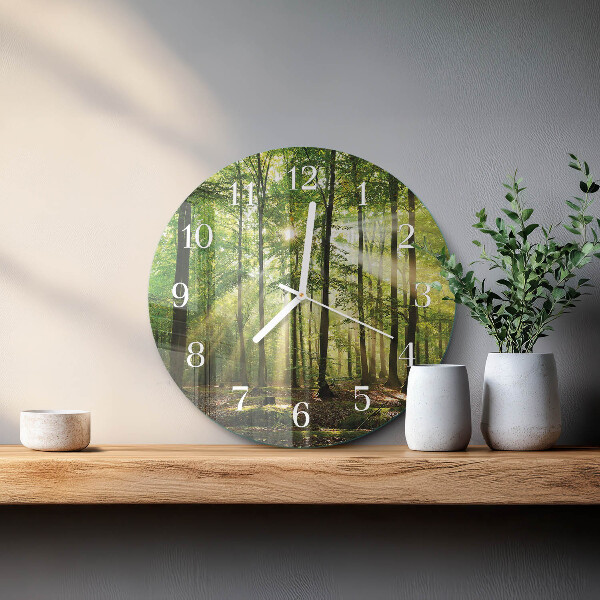 Orologio rotondo Natura della foresta