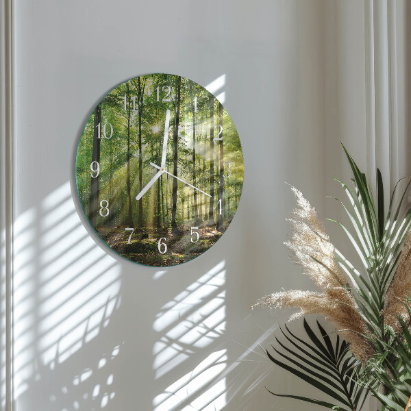 Orologio rotondo Natura della foresta