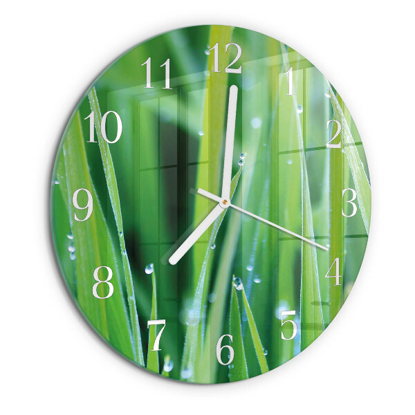 Orologio rotondo Erba