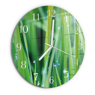 Orologio rotondo Erba