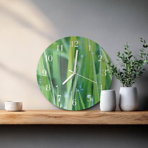 Orologio rotondo Erba