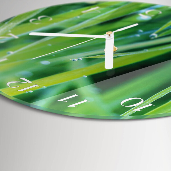 Orologio rotondo Erba
