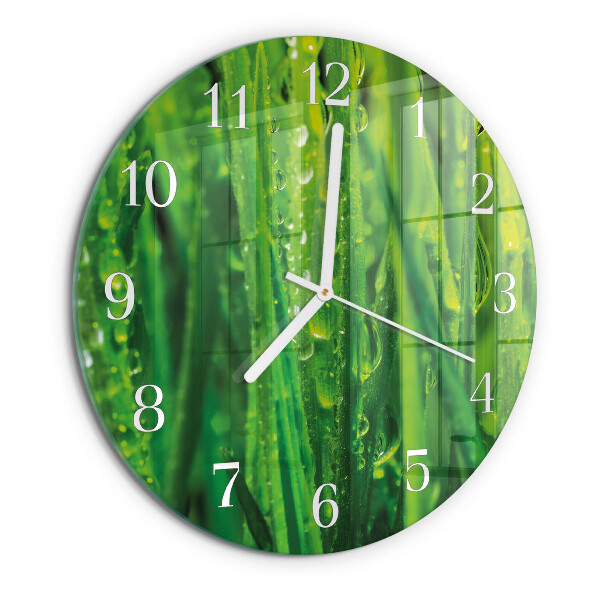Orologio rotondo Erba