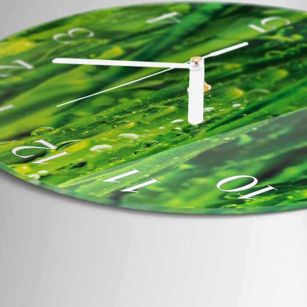 Orologio rotondo Erba