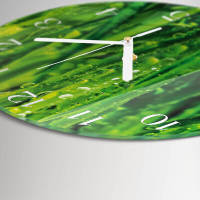 Orologio rotondo Erba