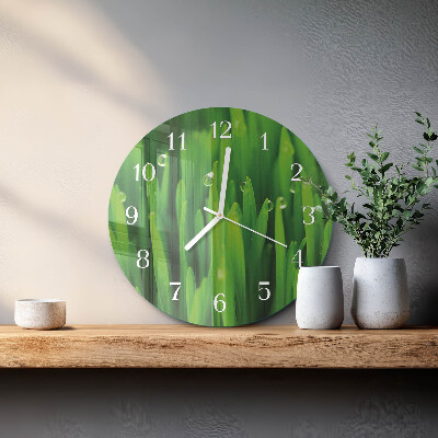 Orologio rotondo Erba
