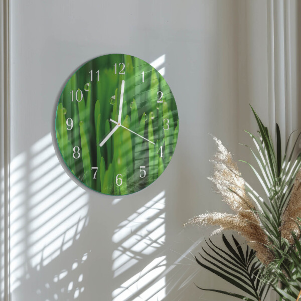 Orologio rotondo Erba