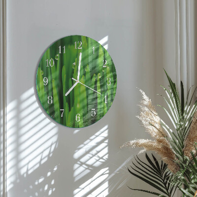 Orologio rotondo Erba