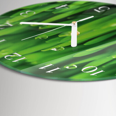 Orologio rotondo Erba