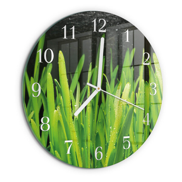Orologio rotondo Erba