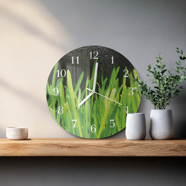 Orologio rotondo Erba