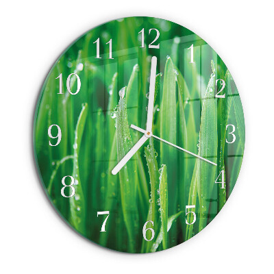 Orologio rotondo Erba verde