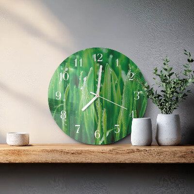 Orologio rotondo Erba verde