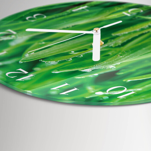 Orologio rotondo Erba verde