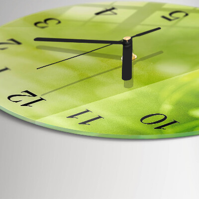 Orologio rotondo Erba