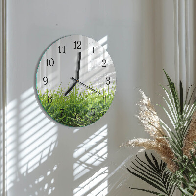 Orologio rotondo Erba