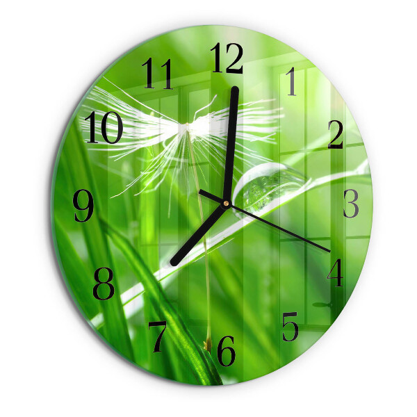 Orologio rotondo Erba