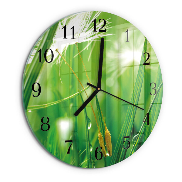 Orologio rotondo Erba