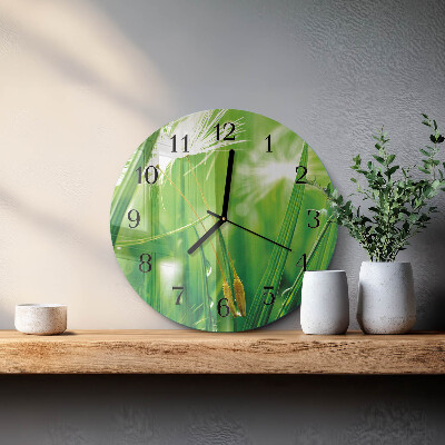 Orologio rotondo Erba