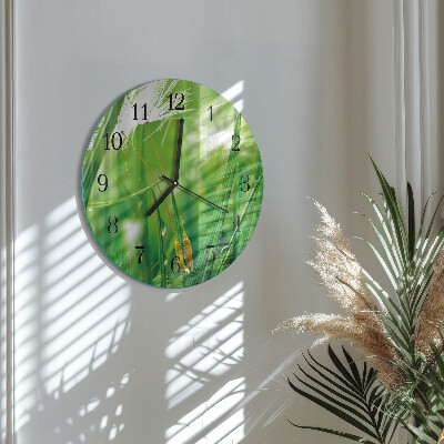 Orologio rotondo Erba