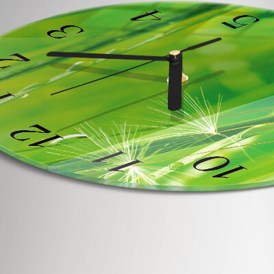 Orologio rotondo Erba