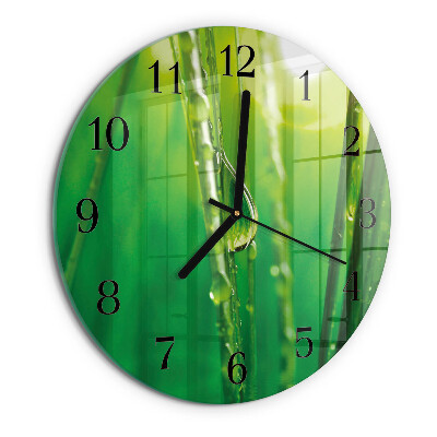 Orologio rotondo Gocce d'erba