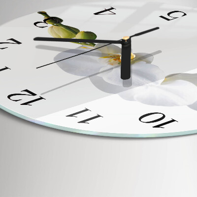 Orologio rotondo Orchidea