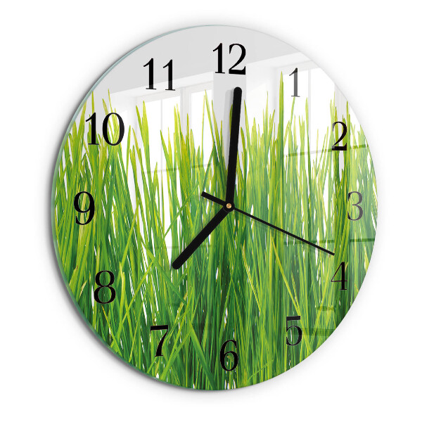 Orologio rotondo Erba