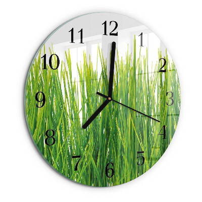 Orologio rotondo Erba